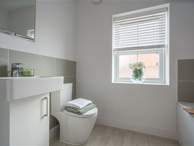 Picture 16